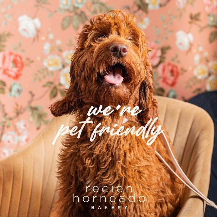 Perro sonriente en el local con el texto “we’re pet friendly”